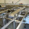 tray conveyors 1
