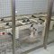 PALLET CONVEYORS 4